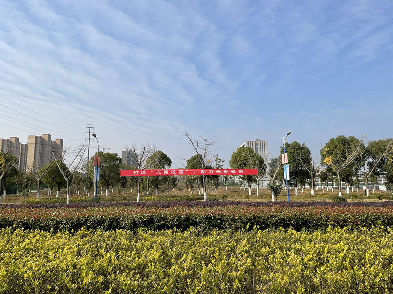 QQ图片20201204104545_副本.jpg